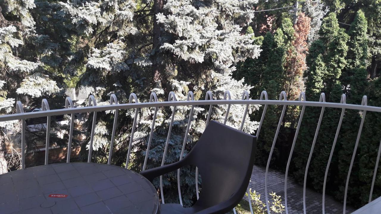 Pero Panzio Bed & Breakfast Debrecen Ngoại thất bức ảnh